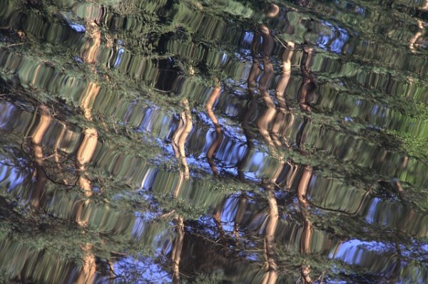 Photo by websi. Licensed CC0-Public Domain.
