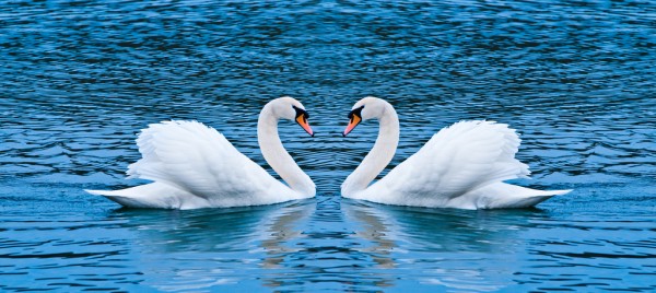 Photo Credit: Sergiu Bacioiu. Licensed CC-BY-NC.