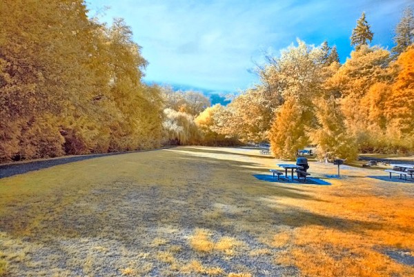 Vanishing Point. Discovery Park.Photo by Omar Willey. Licensed CC-BY-SA.