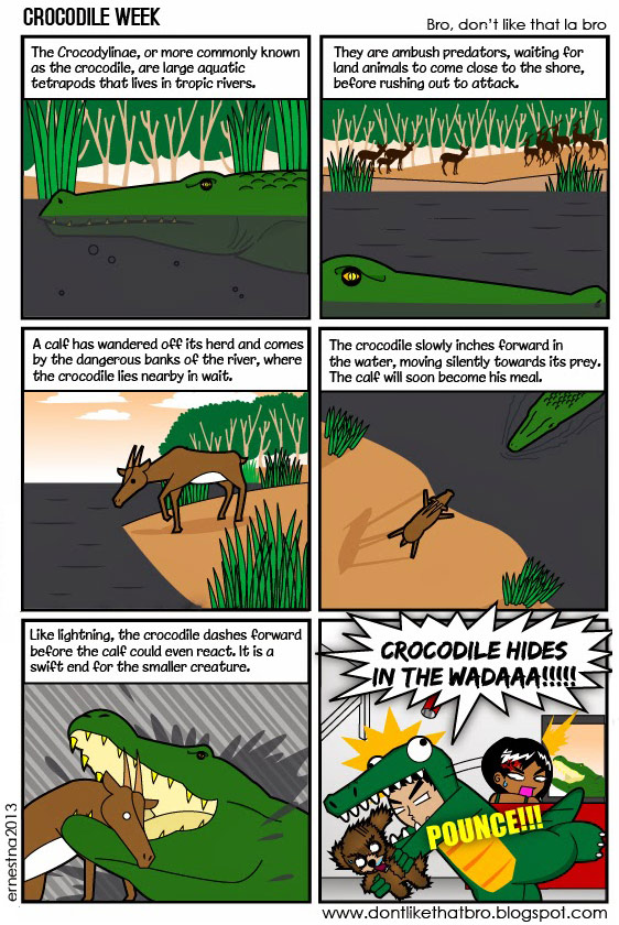 brodontlikethat_Crocodile-Week-01
