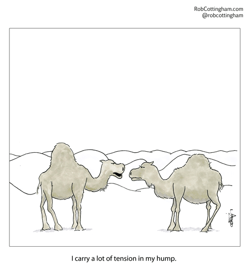 2014.11.02.camels copy