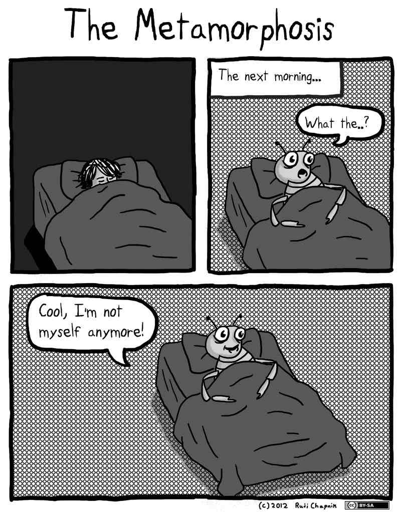 dondepresso_400_opt