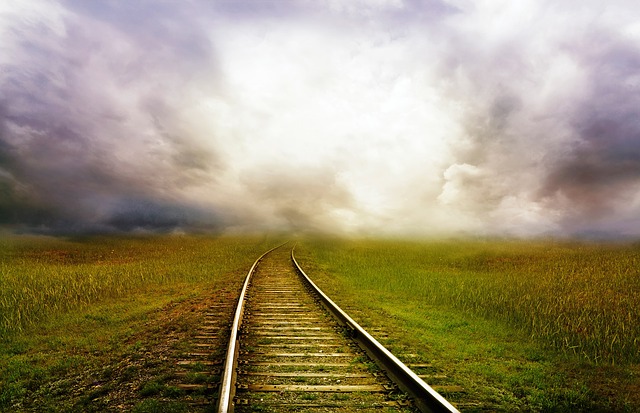 Photo by Public Domain Pictures.Licensed CC0/Public Domain.