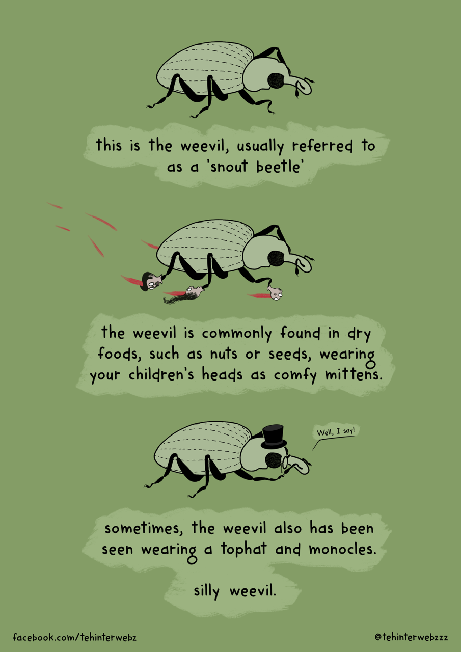 interwebz-weevil