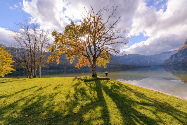 Photo by Ales Krivec.Licensed CC0/Public Domain.