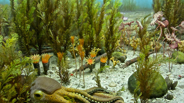 Ordovician diorama. Image credit: ellenm1. Licensed CC-BY-NC.