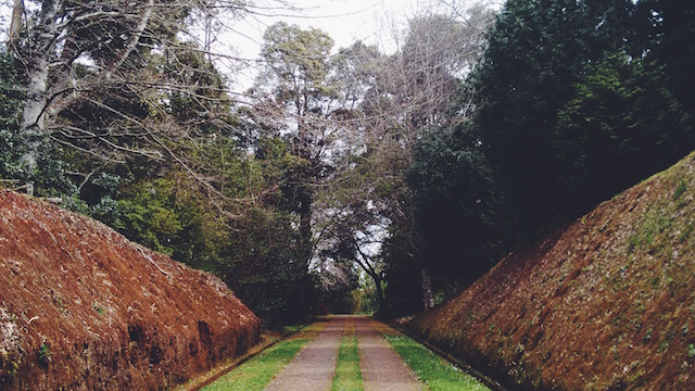 Photo: Tiago Aguiar. CC0/Public Domain license.