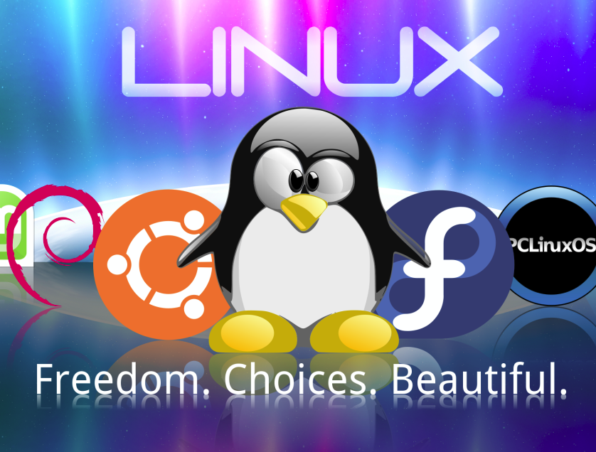 The Quest for Free, Part 3