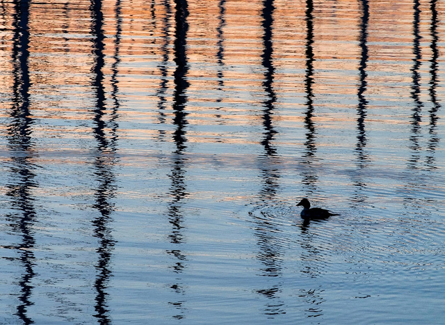 Things I Did Not Write About in 2013, Part 2