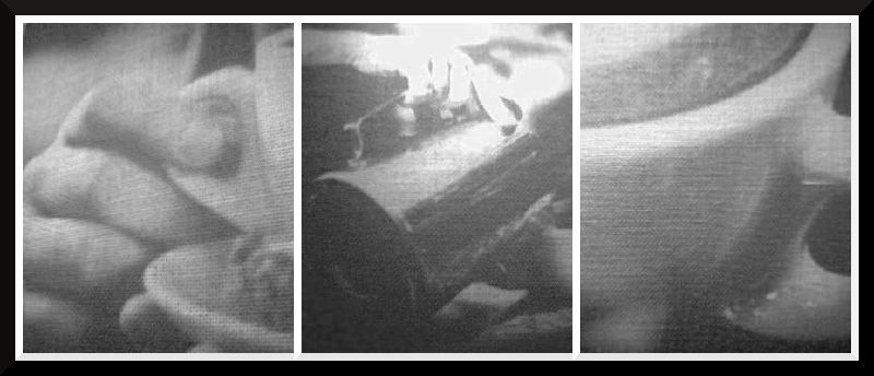 In the Belly of the Beast