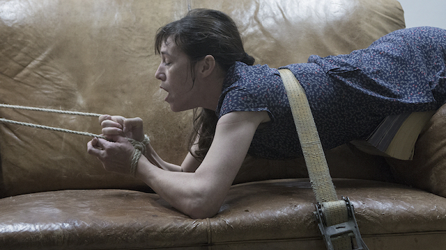 From Sadism to Humanism: Lars von Trier’s Nymphomaniac