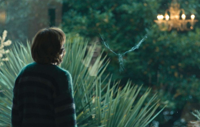 Art from the Body: Joanna Hogg’s Exhibition