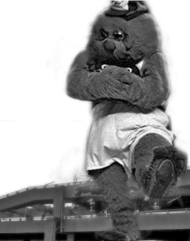 Giant Wheedle Crushes Viaduct; Murray blames McGinn for Anti-Tunnel Agitation