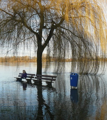 The Death of Fotopedia: Another Narrative