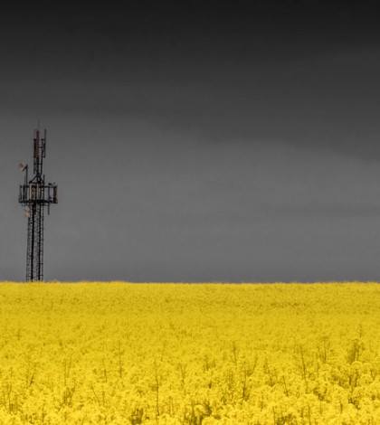 The Ghastly Impermanence: Chopstream