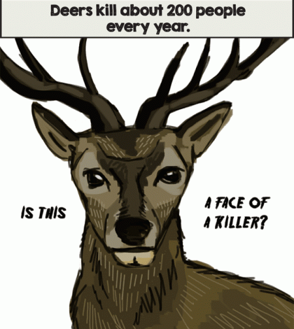 The Fallacy of Sharks