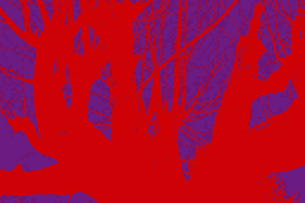 The Red Plain