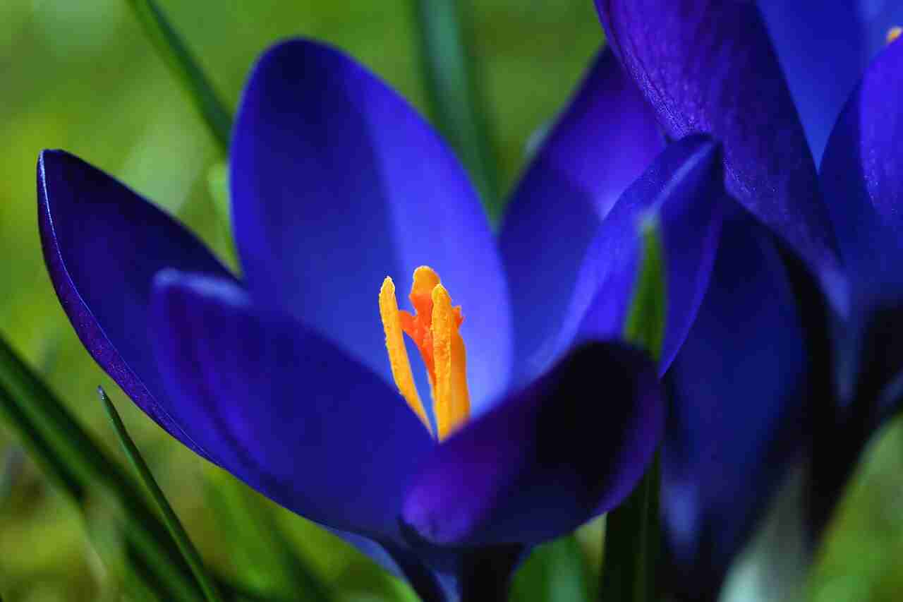 Holding the Moments of Creation’s Good