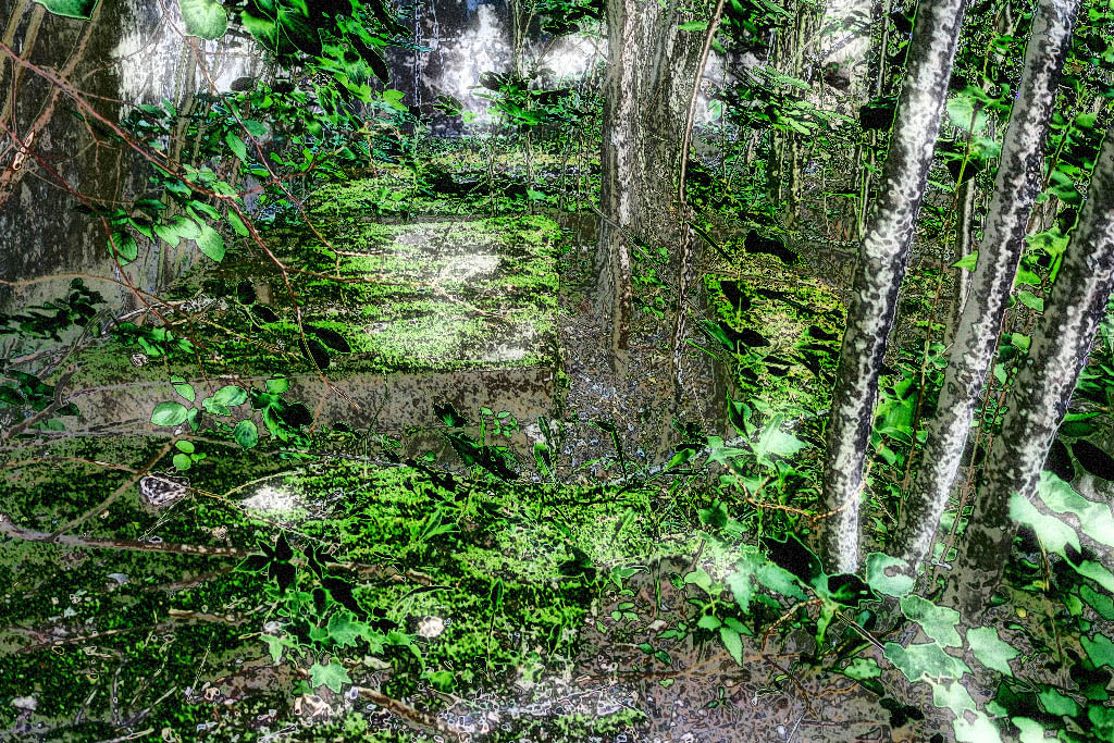 The Halo of a Streetlamp