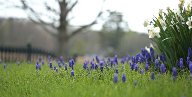 Capitalism and the Destruction of the Commons