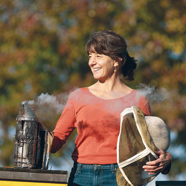 Science, Law and Art: Steps to Solving the Bee Problem