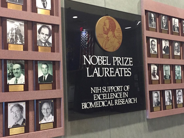 Wikipedia Activism and Diversity in Science