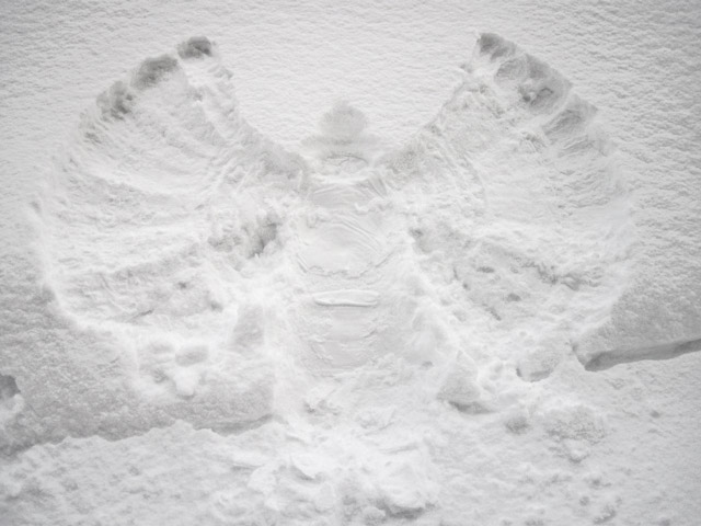 Reverie in White (A Tale)