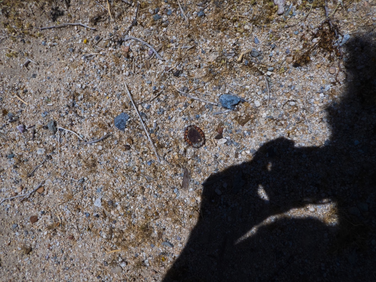 Encounters with Anonymous: Camera I