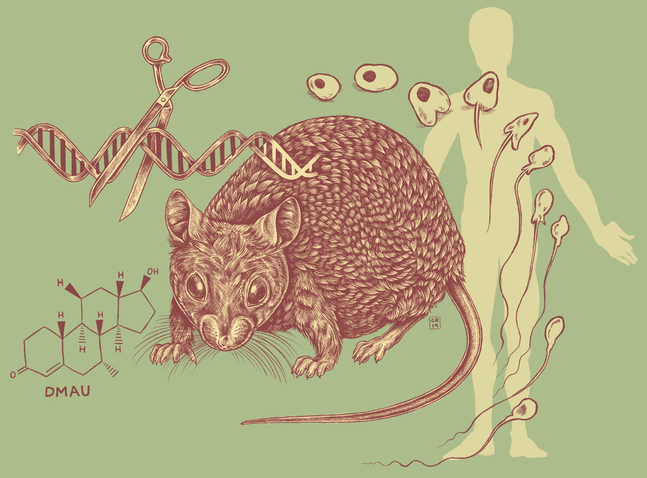 So Close, Yet So Far: Why “The Pill” for Men Isn’t Right Around the Corner