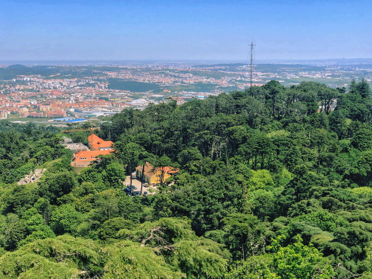 Travels in Lisbon: At the Creative Commons Summit, Part 4