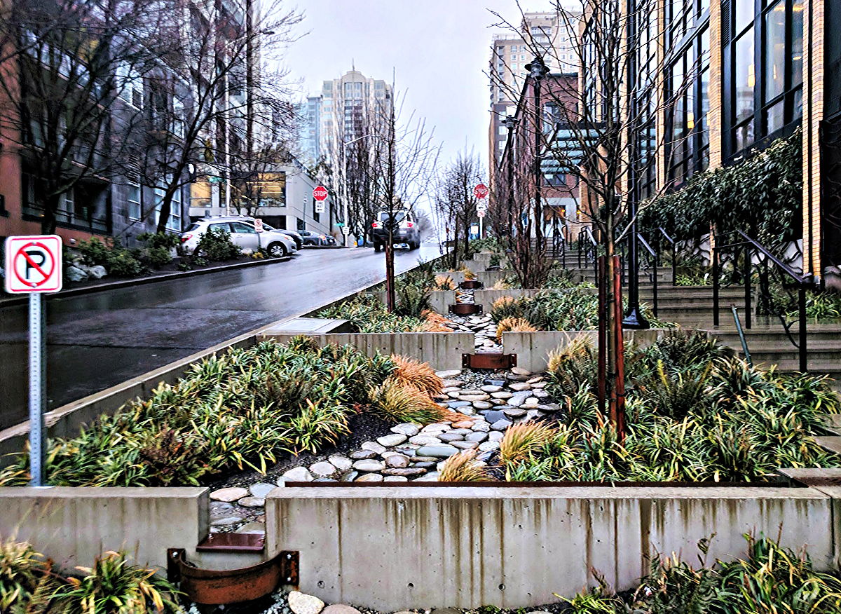 Why I Have Never Read at the Assembly Open Mike