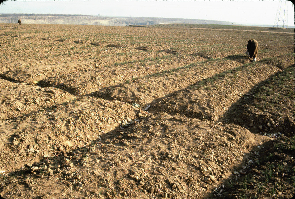 Alienating Kashmiris While Integrating (Annexing) Kashmir