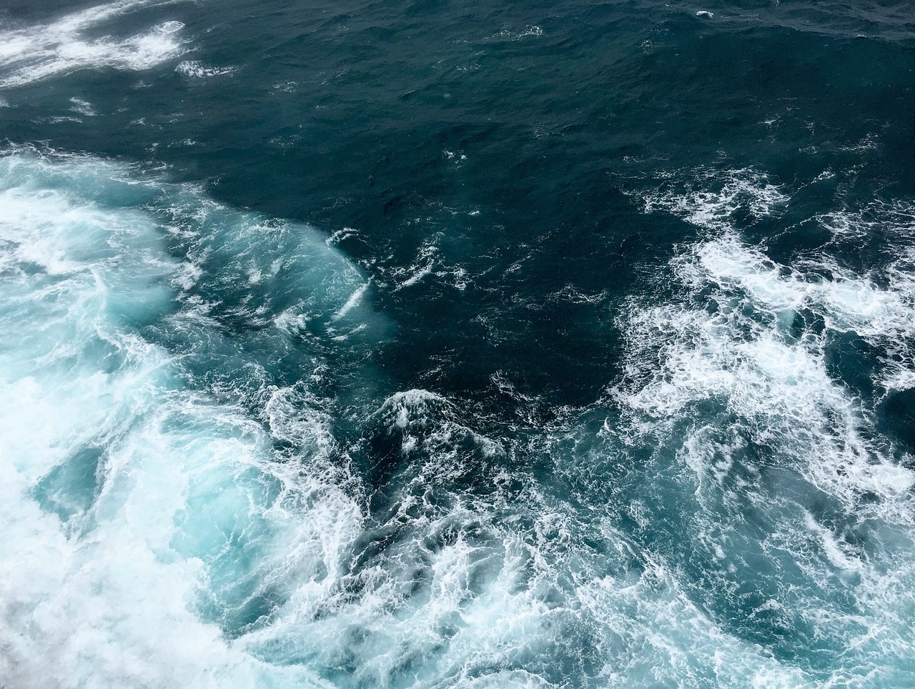 Swimming in the Fast Warm Current – The Seattle Star