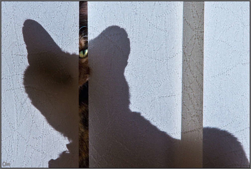 The Creature at the Door: Part 2