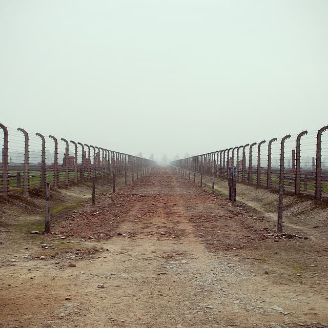 This Way to the Gas Chambers, Ladies and Gentlemen (Auschwitz 2003)