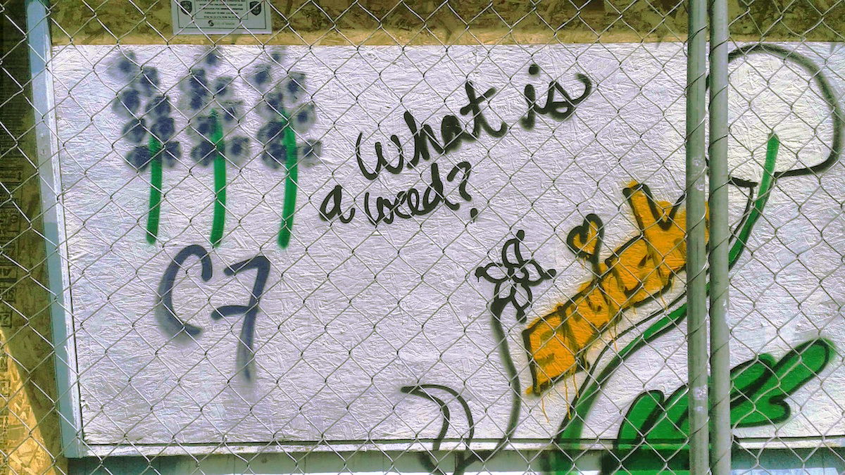 Nothing Beautiful Without Struggle