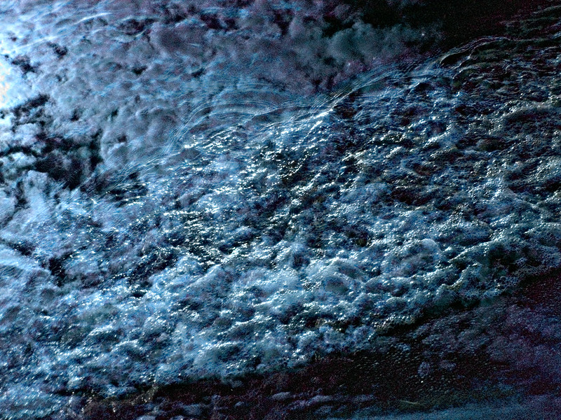 By the Puget Sound / By the Salish Sea