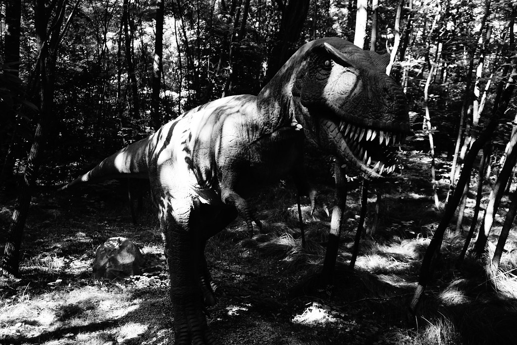 How to Prevent Raptors