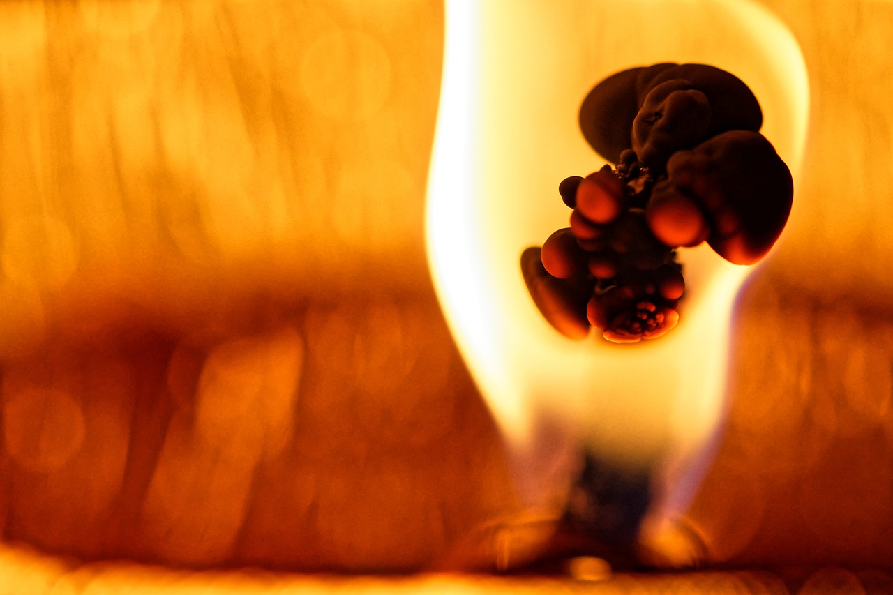 Dante Lebeau: An Exorcist to Remember