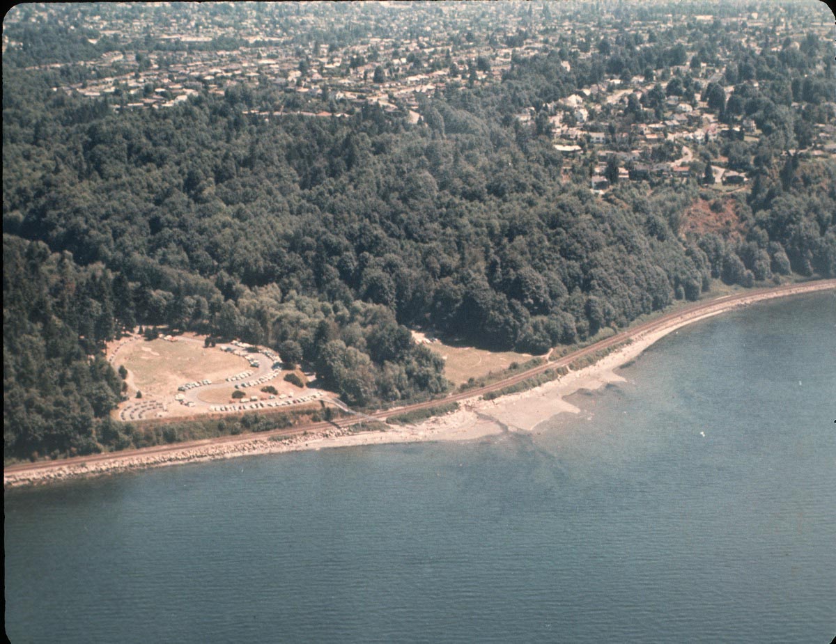 shiny scaly scintilla