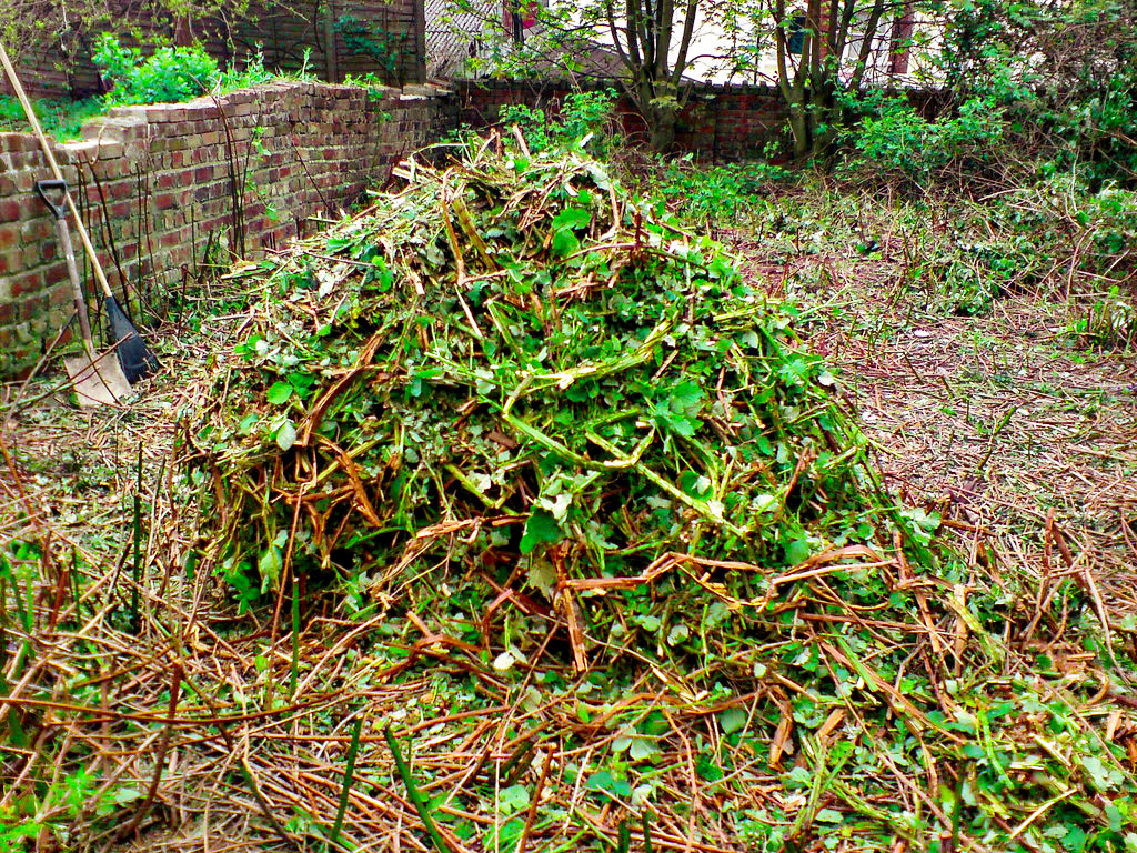 Care and Feeding of the Cummins Shredder