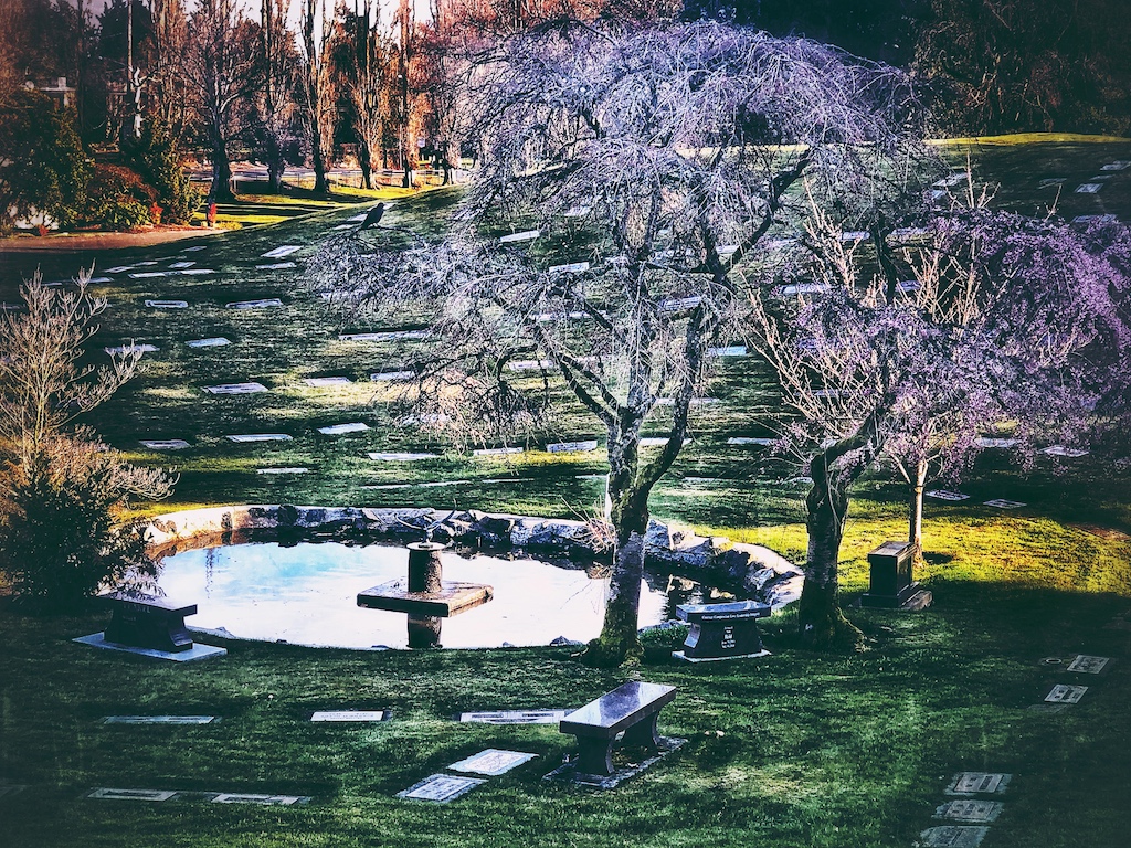 Time moves swiftly even through the leaves of trees