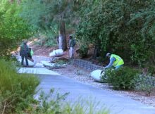 Voices Through the Window