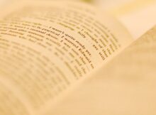 The Fantastic Adventures of Elwood the Librarian