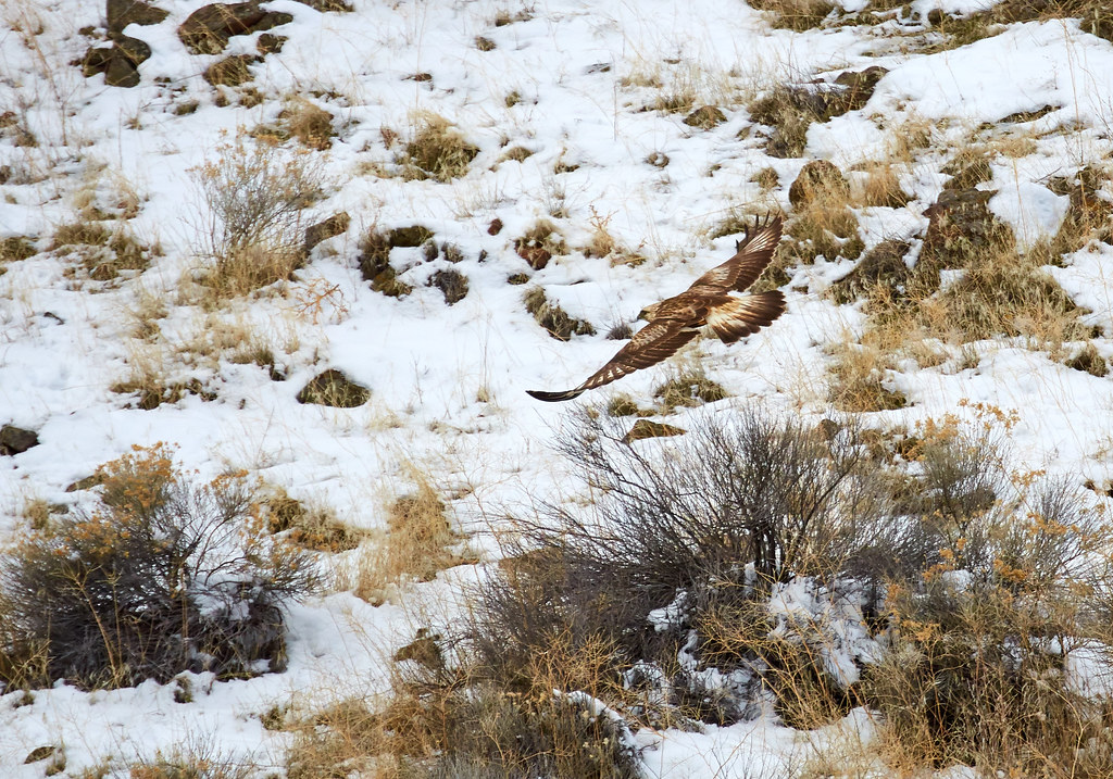 Driving North from Reno