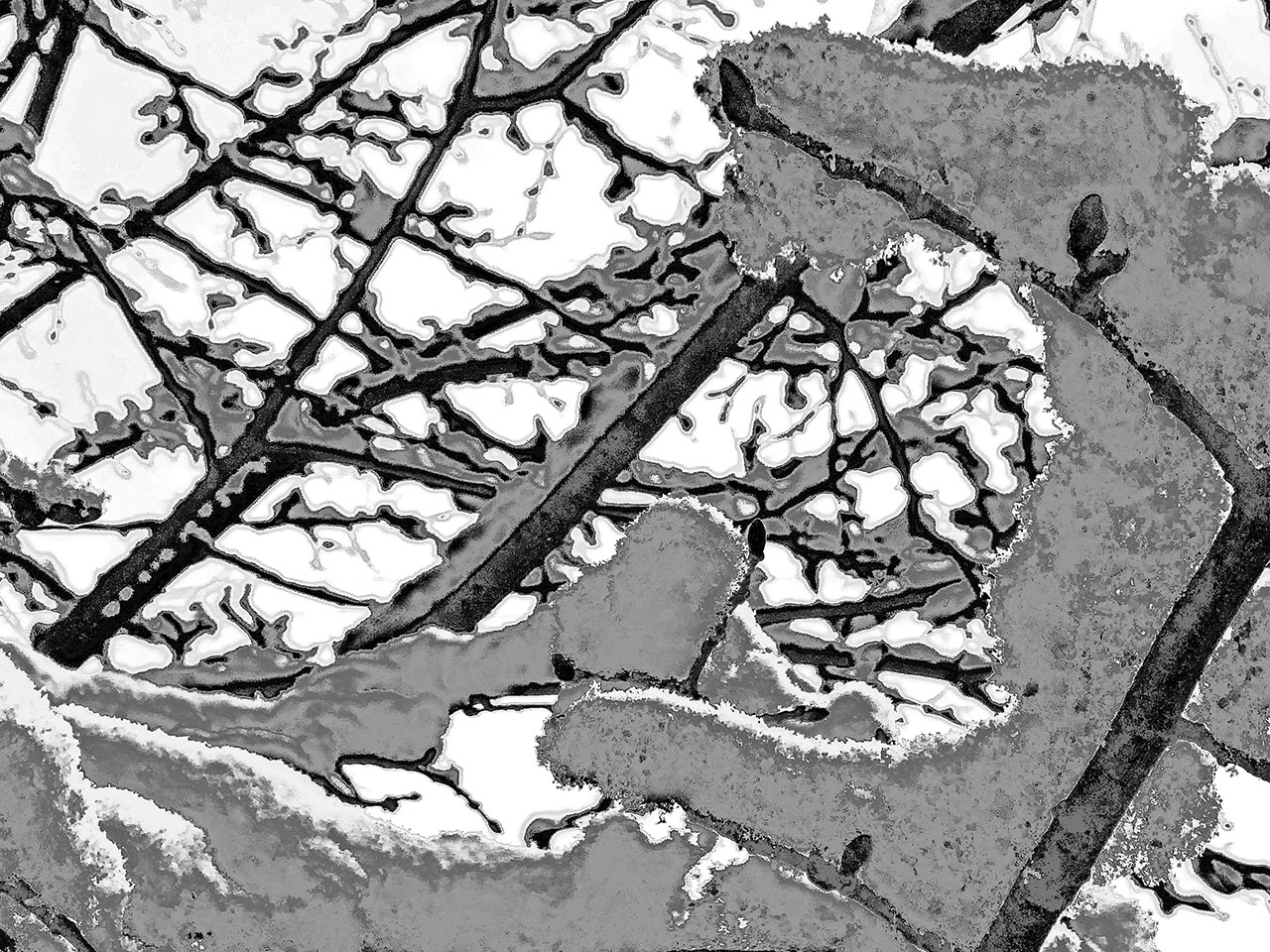 That Demon of Winter