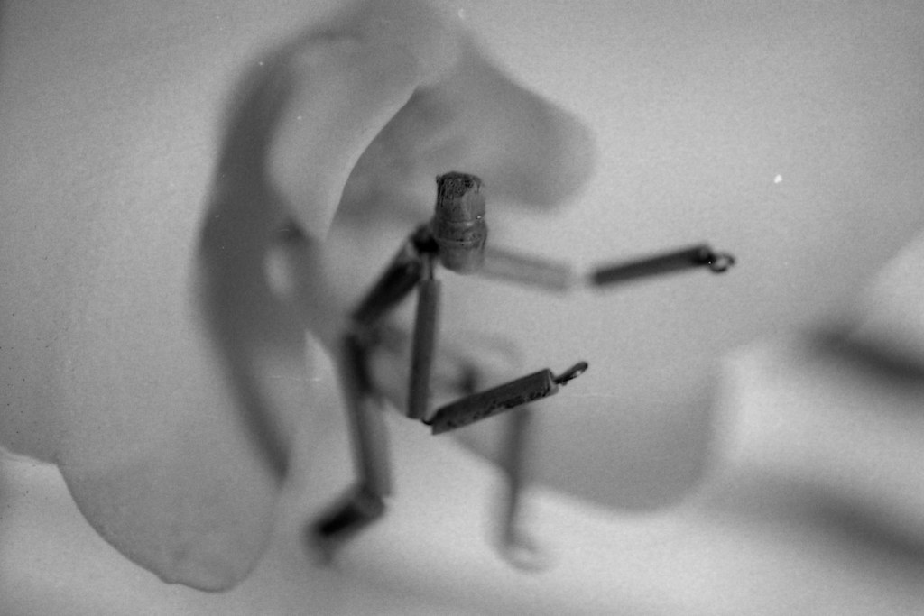 Poems Improvised From Bill Beamer’s Book-Scrap