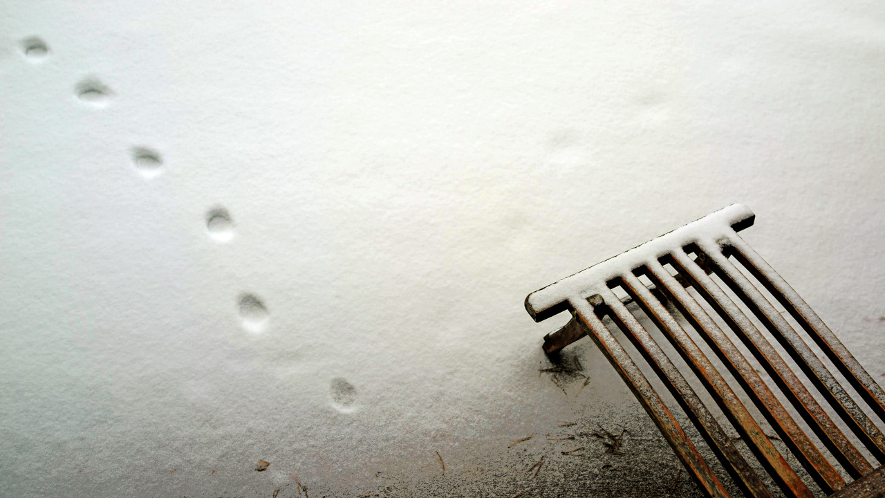 Paddle, Camo, and Shotgun – a Ghazal