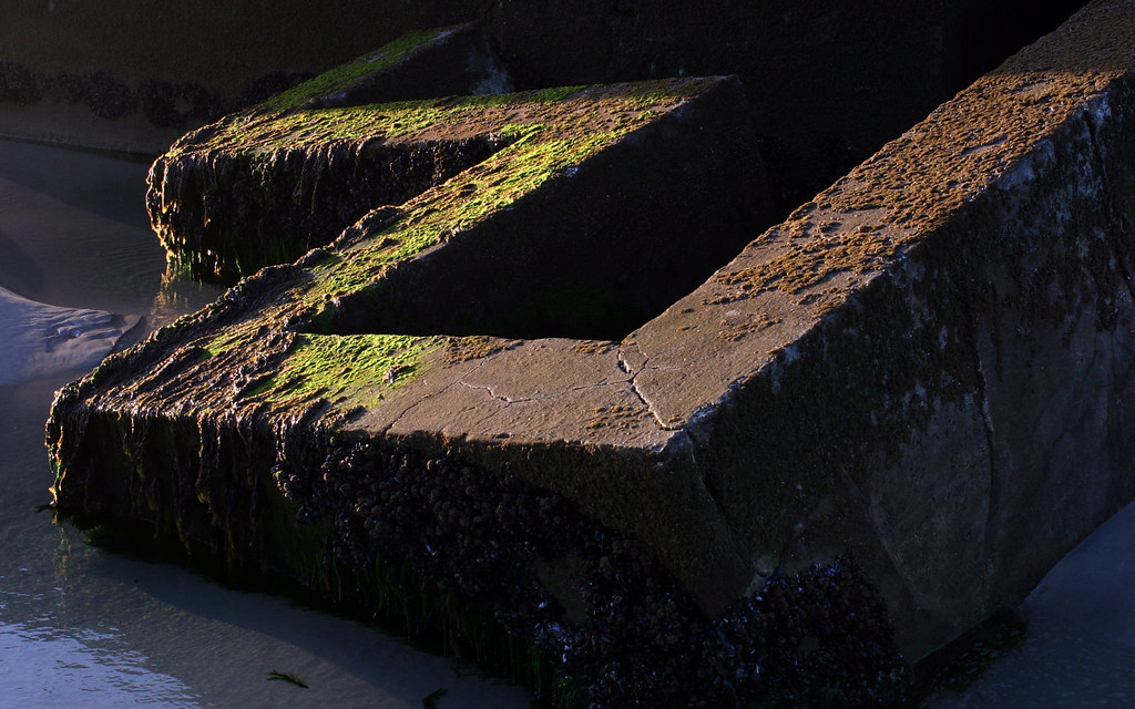 Epigrams in Mist 36-40