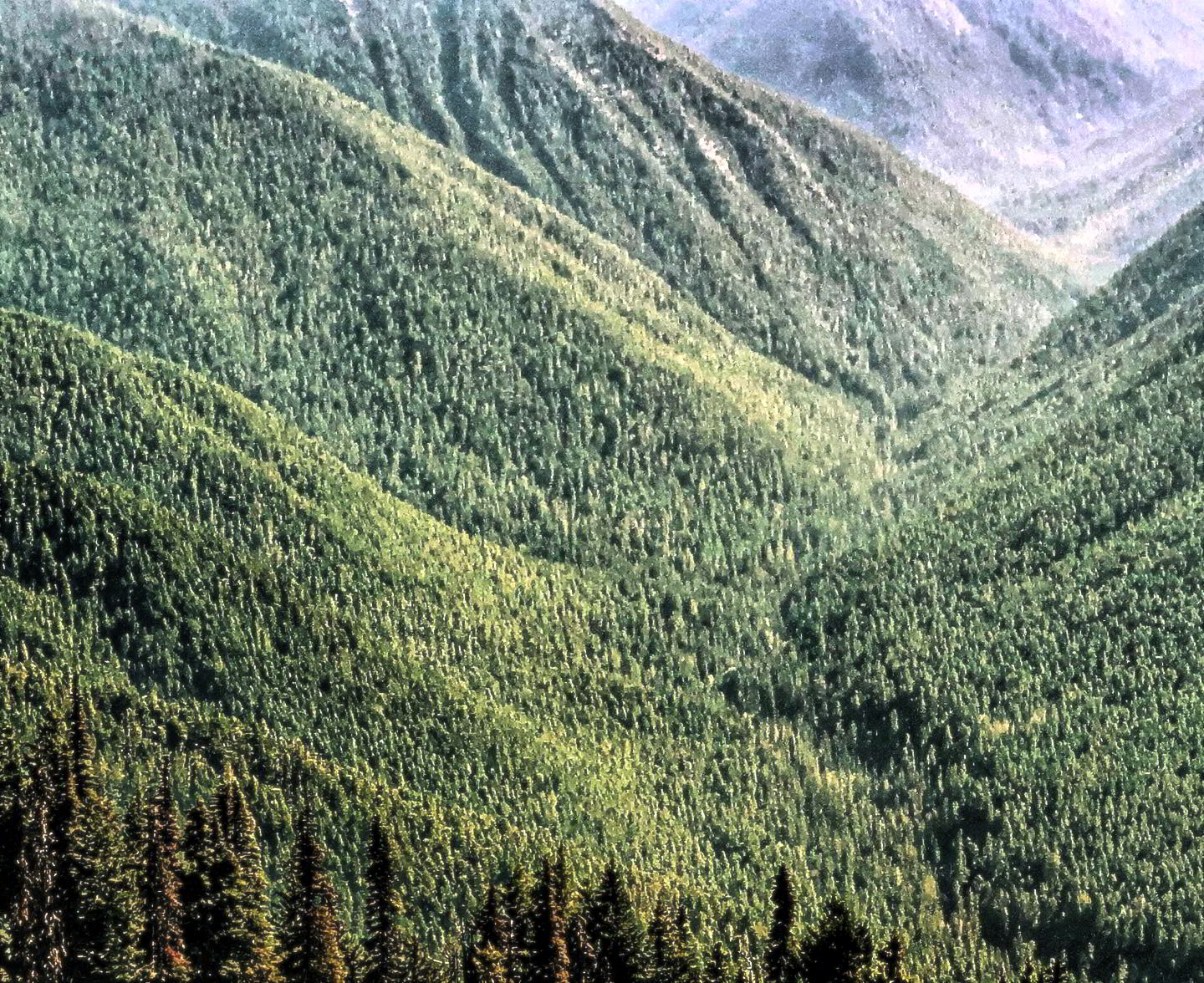 And World’s Memory Moves, Part Six